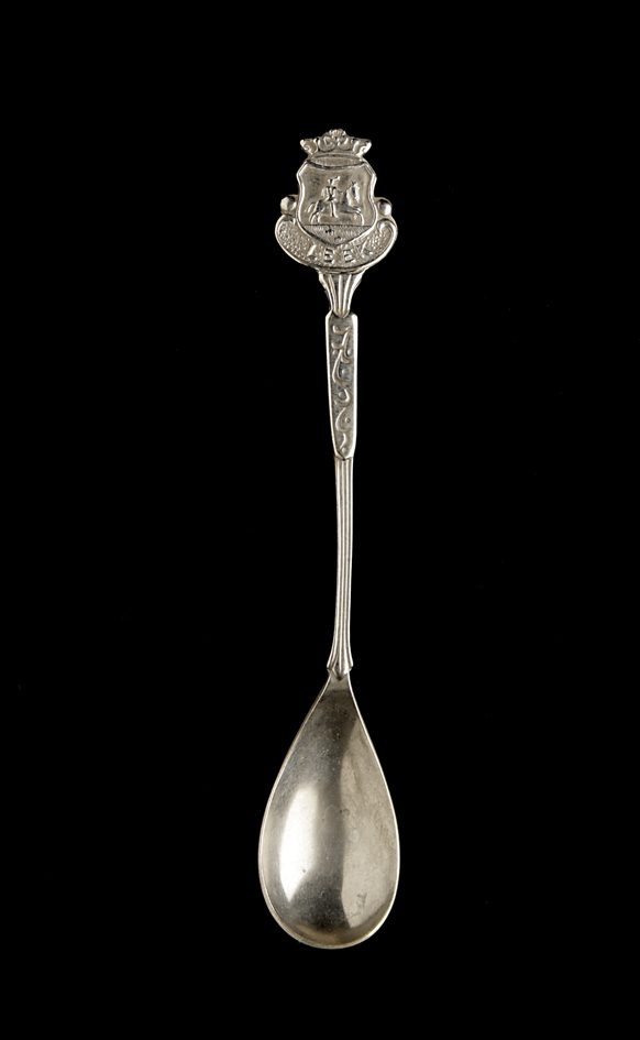 Theelepel wapen van Leek